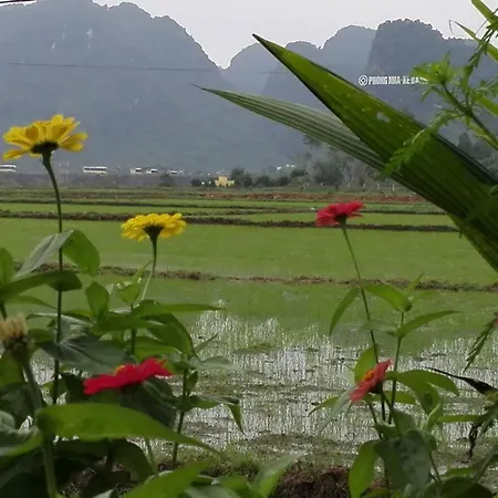 Hung Phat Bungalow Phong Nha Exterior photo